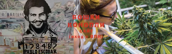 дживик Новокубанск