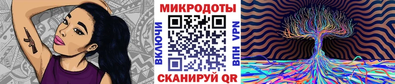 Псилоцибиновые грибы прущие грибы  Наволоки 