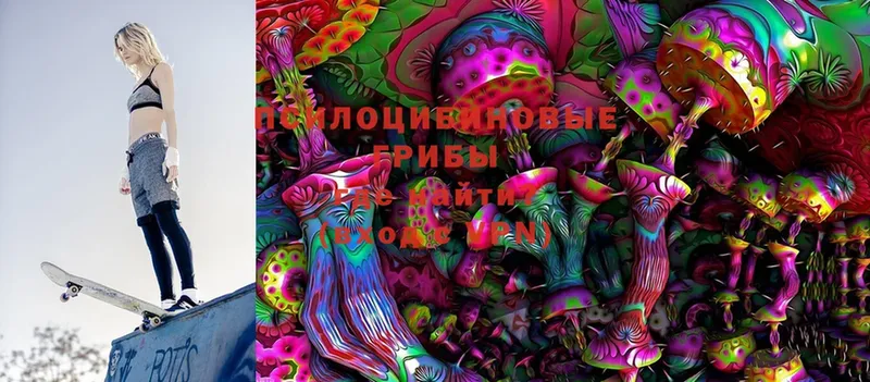 купить  цена  Наволоки  Галлюциногенные грибы Magic Shrooms 